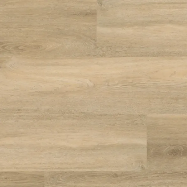 Avanto Beige Dryback - Avanto beigejpg - 8744464